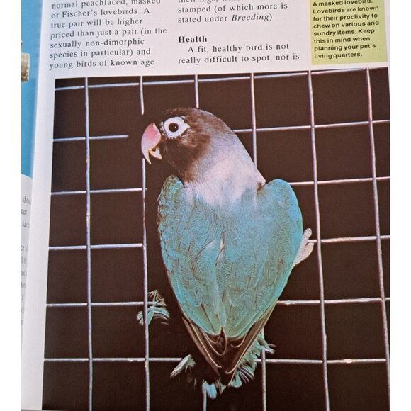 🪻BOGO🪻 Lovebirds as‎ a New Pet by Denton, Oliver Paperback - Picture 6 of 7